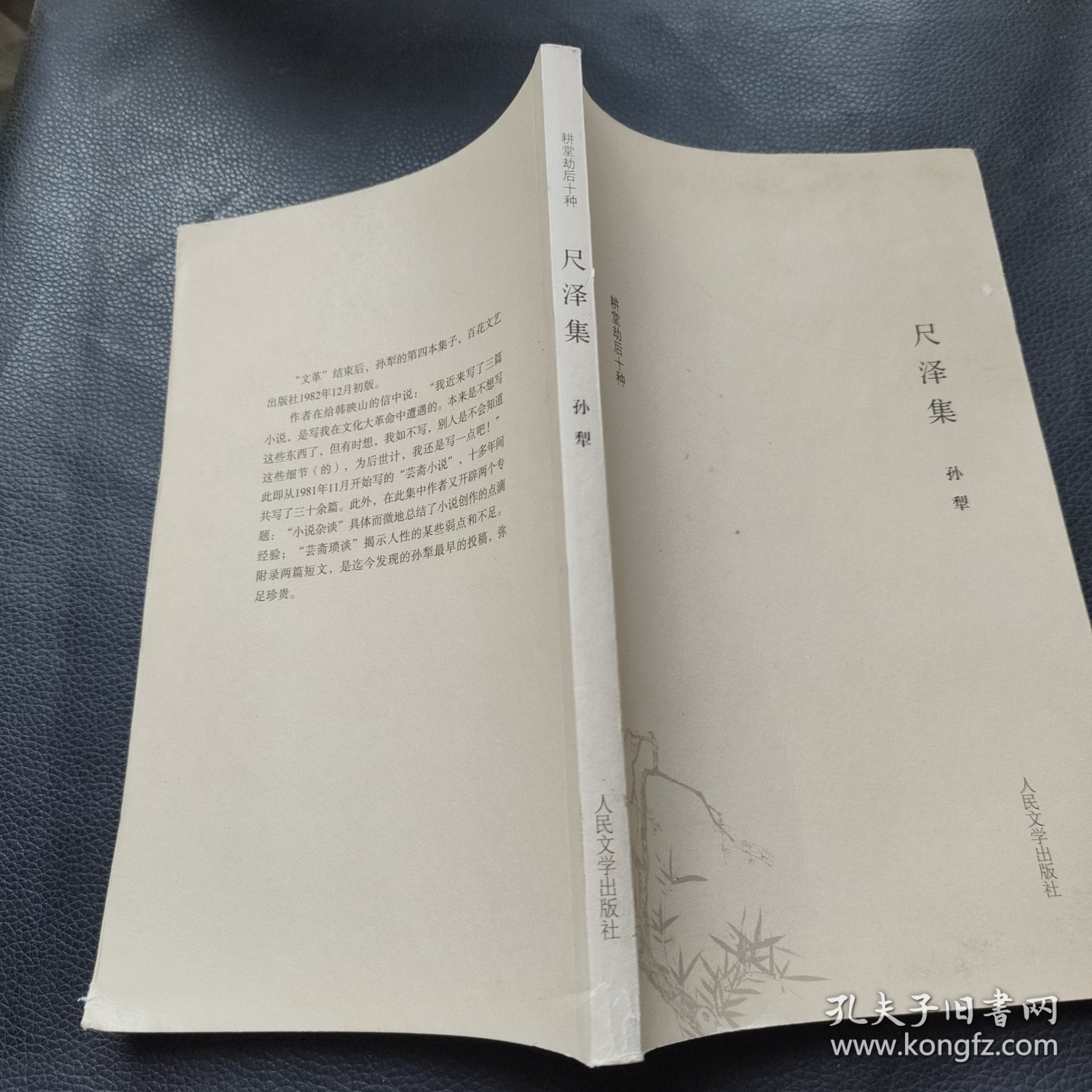 耕堂劫后十种尺泽集