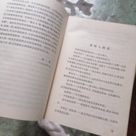 十字军骑士（上）