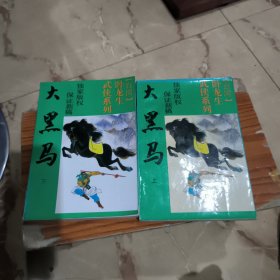 大黑马上下册
