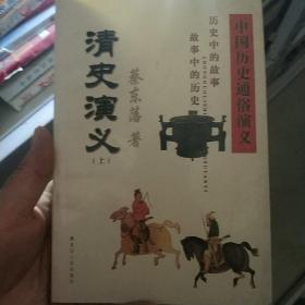 中国历史通俗演义清史演义（上册）