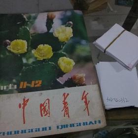 中国青年1981.11-12