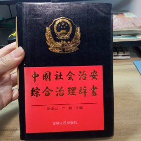 中国社会治安综合治理辞书