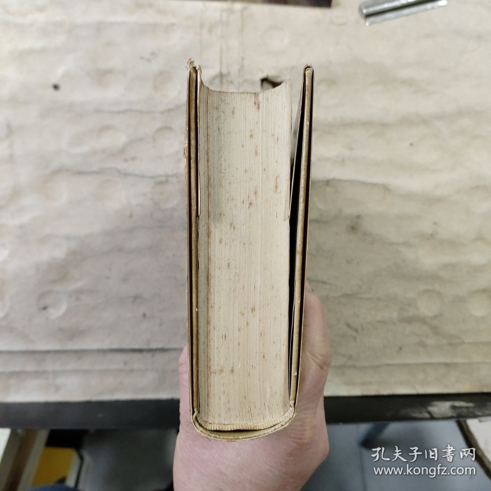 普列汉诺夫哲学新论