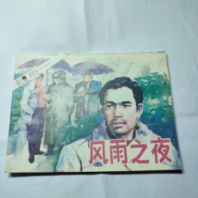 刑警803：风雨之夜