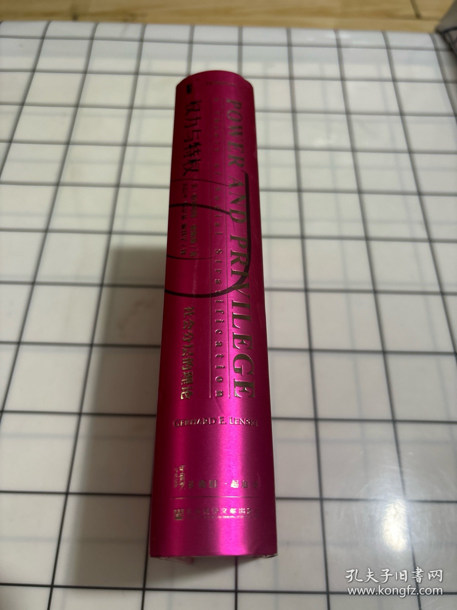 权力与特权:社会分层的理论