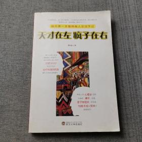 天才在左 疯子在右：国内第一本精神病人访谈手记