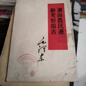 湖南农民运动考察報告