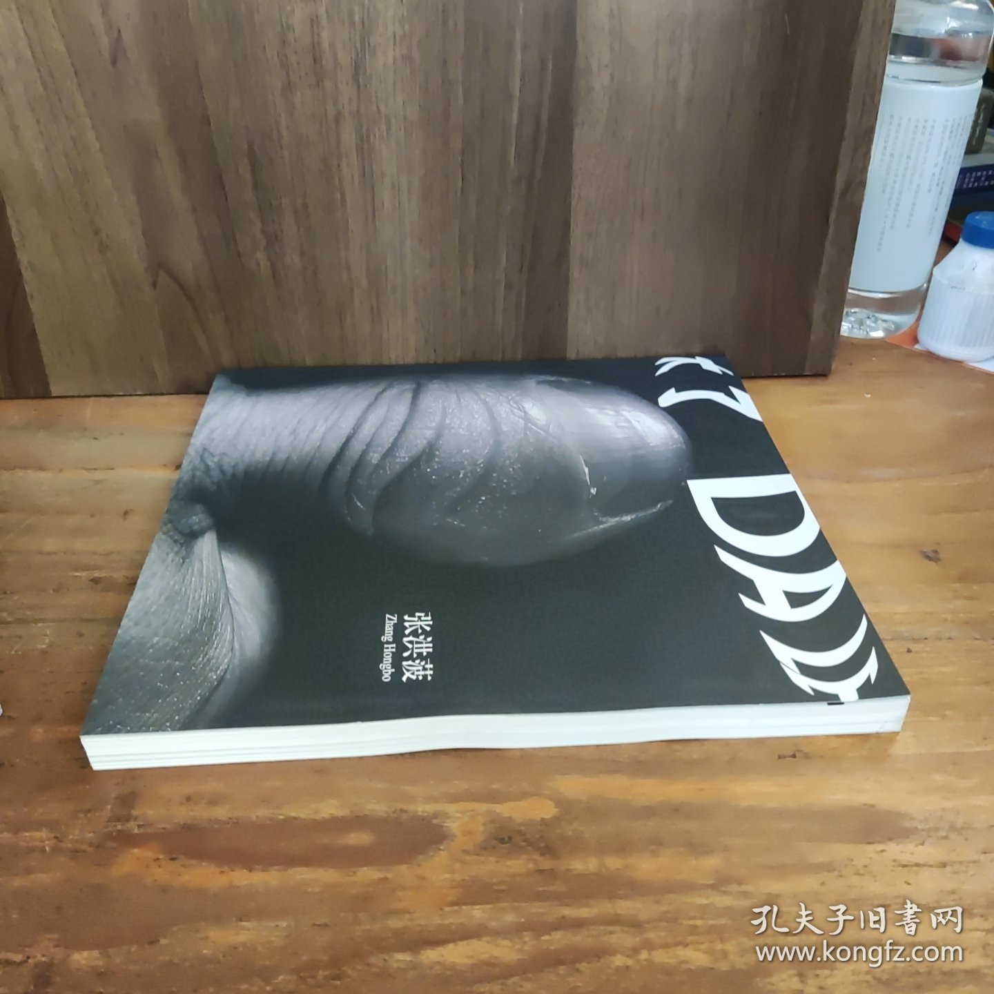 大了——张洪菠 作品（画集）