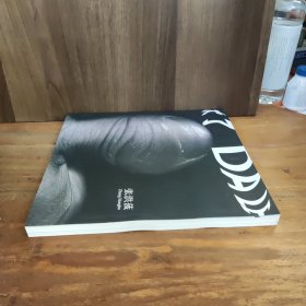 大了——张洪菠 作品（画集）