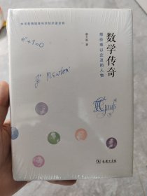 数学传奇：那些难以企及的人物，崭新塑封未拆。