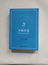 中国民法 立足法考，超越法考，一本书讲尽民法要义 温世扬