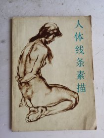 1986年老《人体线条素描》，吴献生著，山东美术出版社出版，著名画家方增先作序，分四部分详见拍照目录部分！75幅人体素描示范图，16开人体素描集，很值得借鉴收藏！。