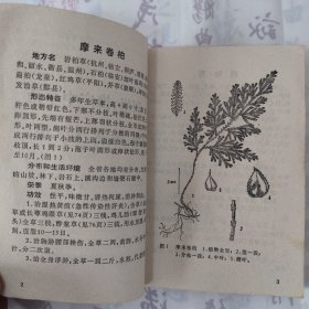 浙江民间常用草药（第一集）