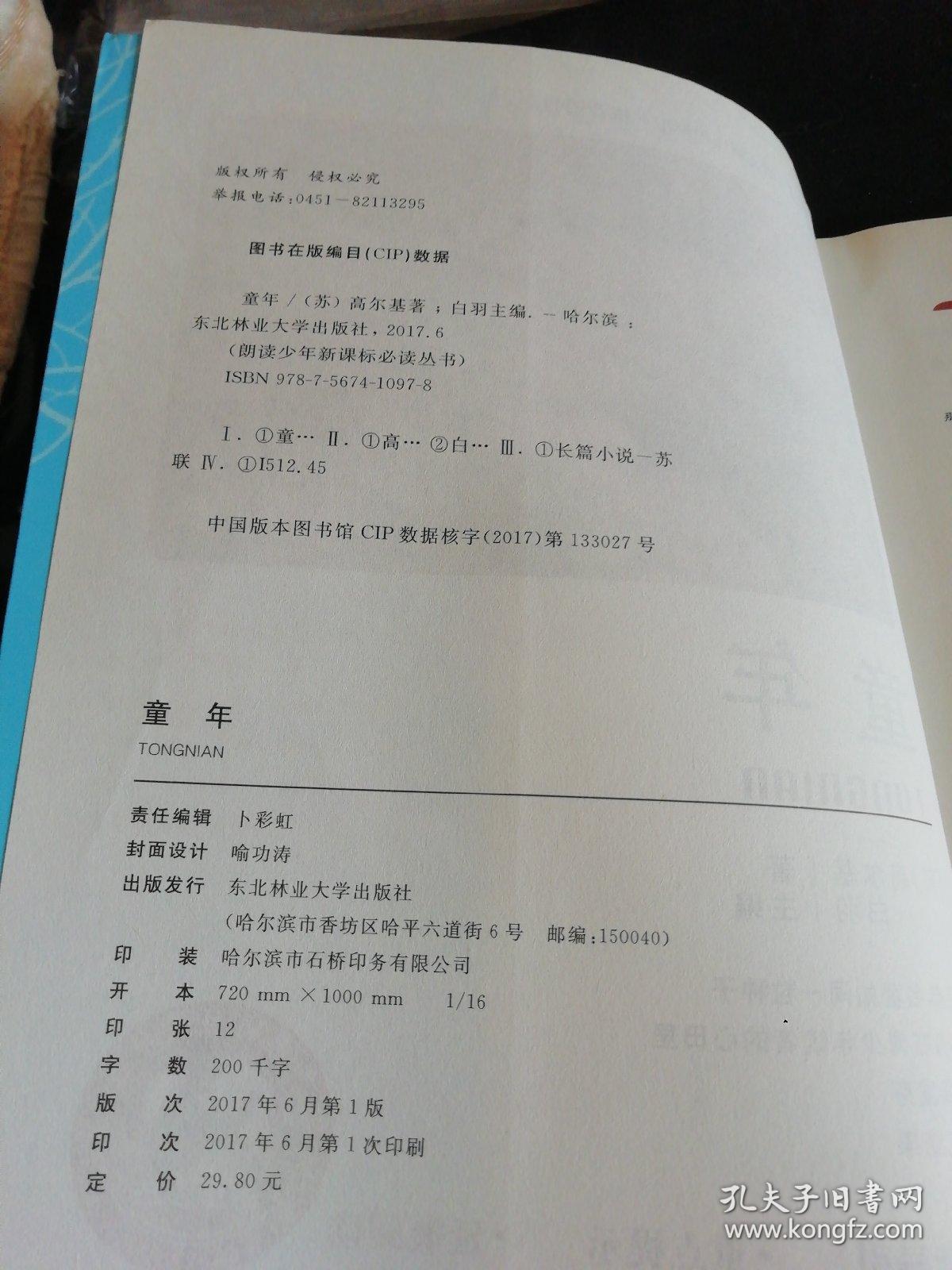 童年（几乎全新正版无笔记）