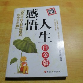 感悟人生:送给年轻人梦想成真的珍贵礼物