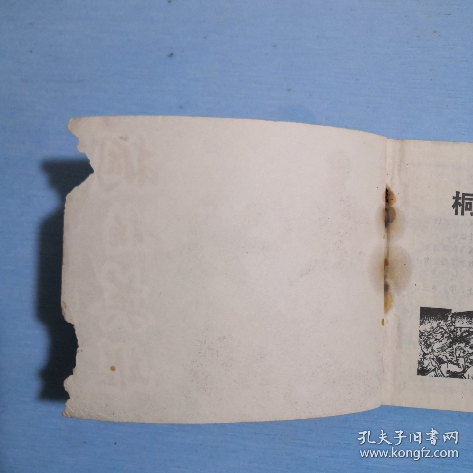 桐柏英雄（中）