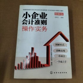 小企业会计准则操作实务（图解版）