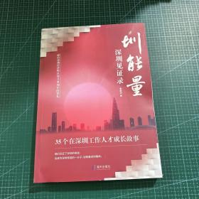 圳能量：深圳见证录