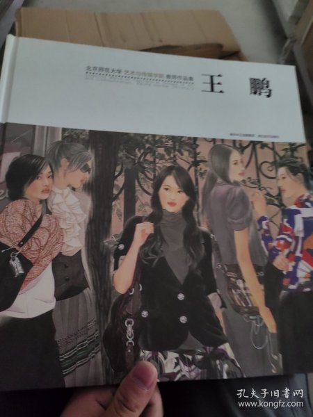 北京师范大学艺术与传媒学院教师作品集. 王鹏