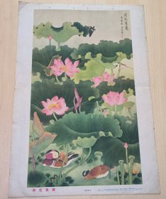 年画（荷花鸳鸯）陈佩秋作：1961年一版一印，上海人民美术出版社