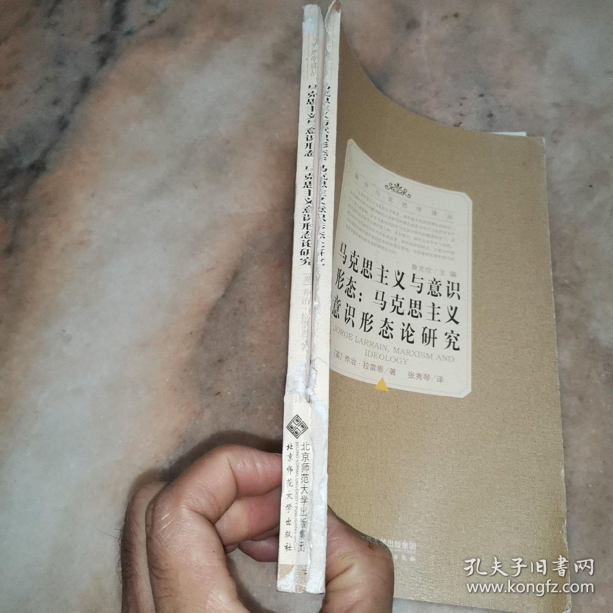 马克思主义与意识形态：马克思主义意识形态论研究