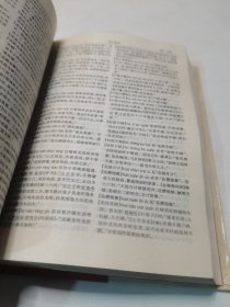 汉大成语大词典（精编本）