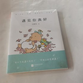 遇见你真好（全新未拆封）