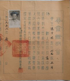 1952上海市私立徐汇女子中学毕业证明书