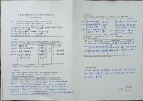 名人手迹 胡大源 北京大学 教授 国家发展研究院 党委书记 晋升 申请表 42*30cm