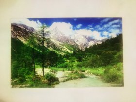 四川毕棚沟风景区邮资明信片门票