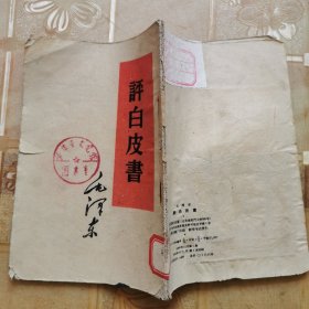 评白皮书