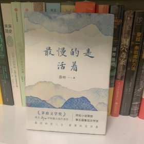 最慢的是活着(第十一届茅盾文学奖得主乔叶中短篇小说代表作)