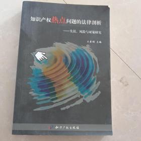 知识产权热点问题的法律剖析：失误、风险与对策研究