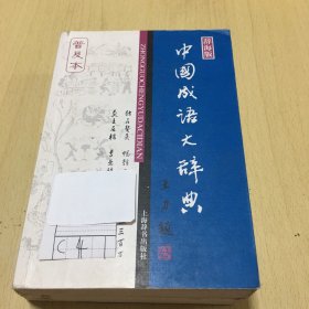 辞海版 中国成语大辞典（普及本）