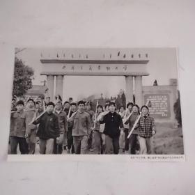 裁剪图片二张(约16开+略小于16开，拍前看好，介意勿拍)