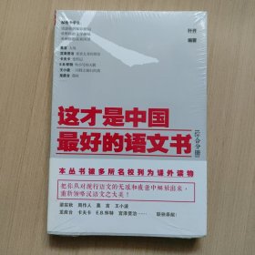 这才是中国最好的语文书：综合分册