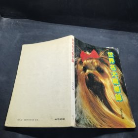 世界名犬精华录