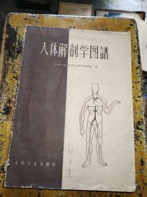 人体解剖学图谱