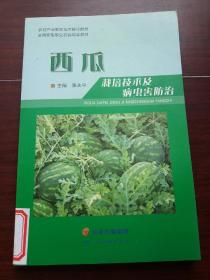西瓜栽培技术及病虫害防治