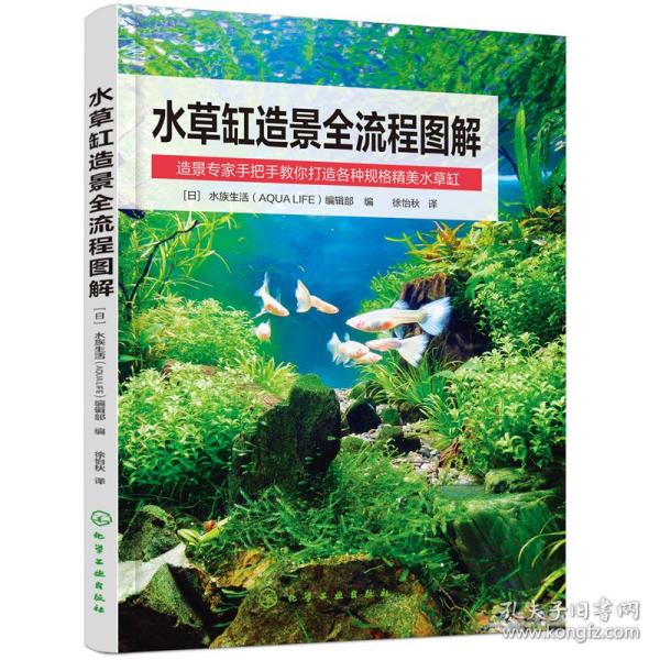 水草缸造景全流程图解