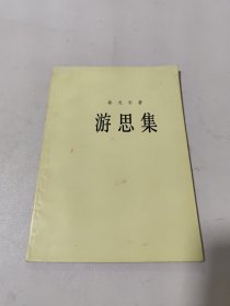 游思集