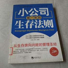 小公司第一年的生存法则（精编珍藏版）