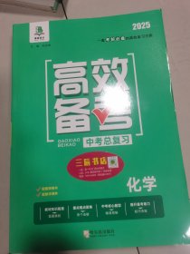 2025高效备考中考总复习化学