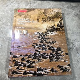 美丽的地球：非洲