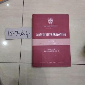 人民法院出版社 民商事审判规范指南