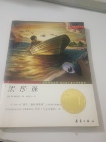 国际大奖小说（升级版）：黑珍珠