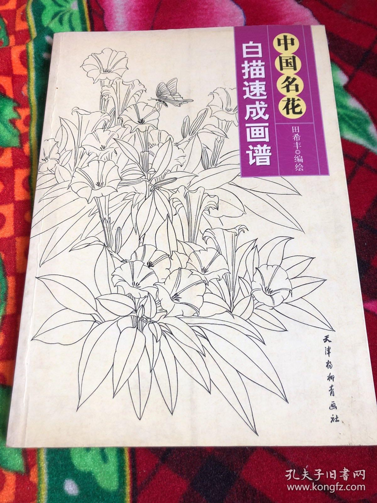 工笔猫画法2 中国名花白描速成画谱