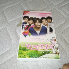 电视连续剧dvd 一起来看流星雨12碟