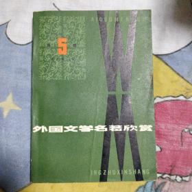 外国文学名著欣赏 第五辑 6.8包邮