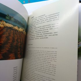梦幻天鹅湖:赵义龙野生大天鹅摄影作品选